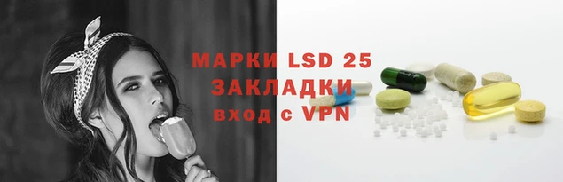прущие грибы Заволжье