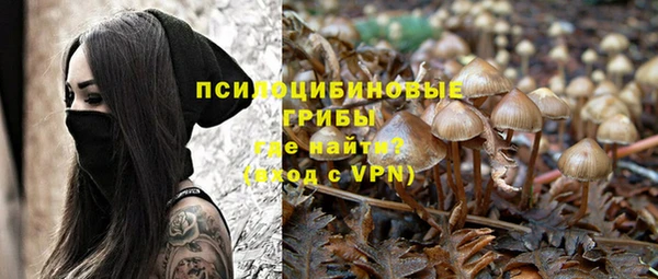 прущие грибы Заволжье