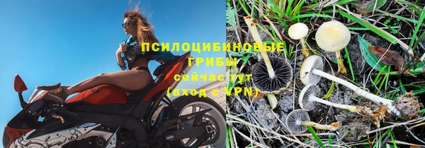 ALPHA-PVP Заволжск