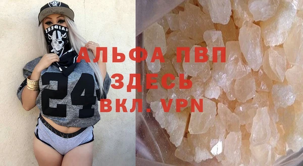 прущие грибы Заволжье