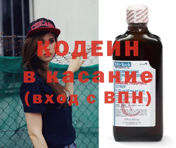 прущие грибы Заволжье