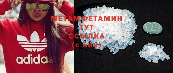 прущие грибы Заволжье