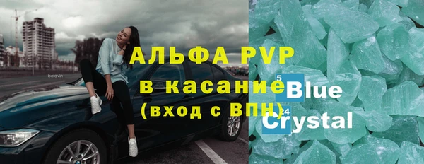 прущие грибы Заволжье