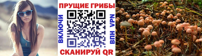 Псилоцибиновые грибы MAGIC MUSHROOMS  kraken ссылки  Верхнеуральск 